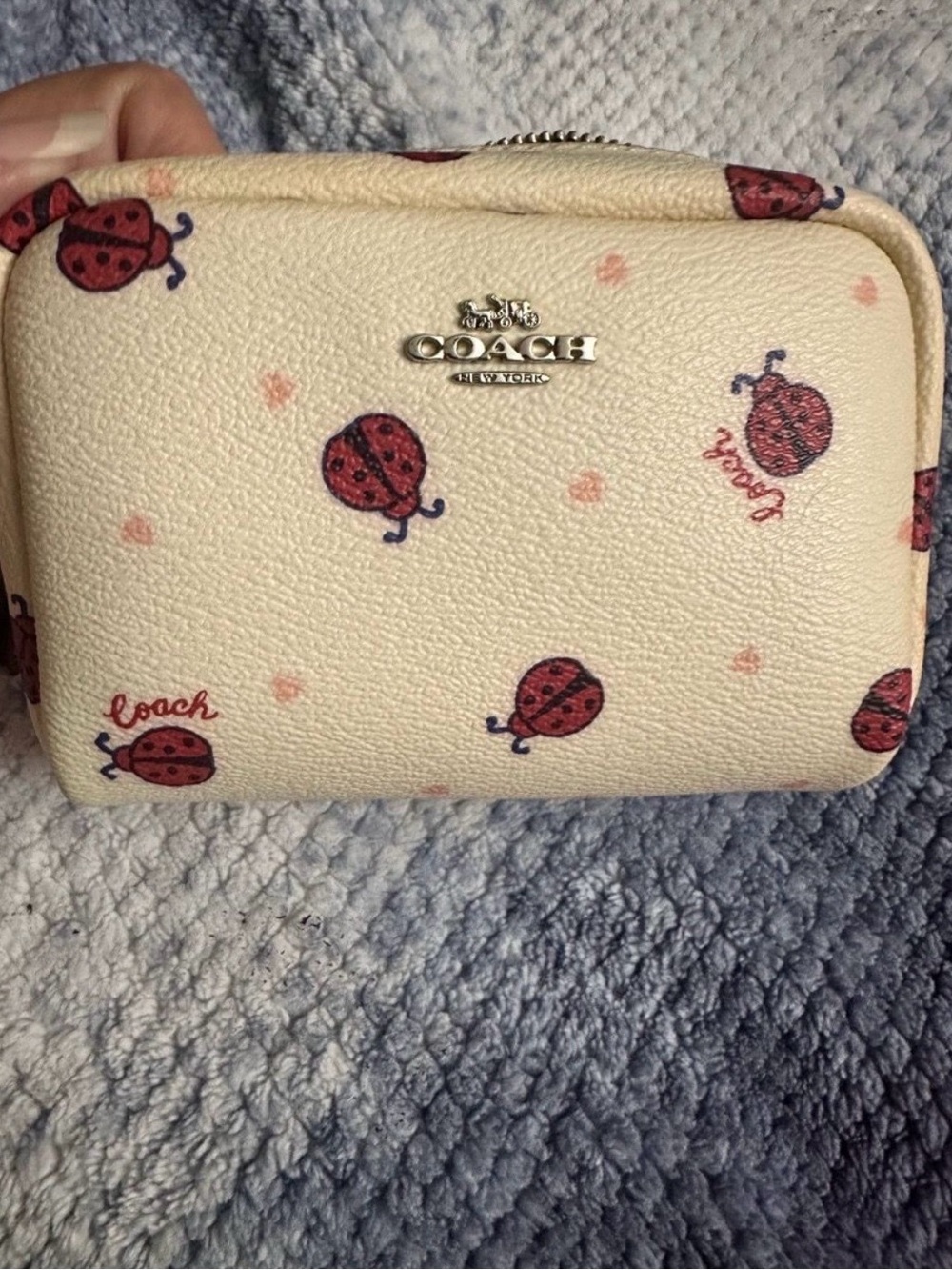 Coach Small Boxy Cosmetic Case in Chalk Ladybug Floral Print
